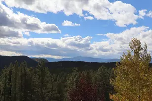 318 Rd D, Pine, CO 80470 - Photo 17