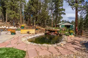 318 Rd D, Pine, CO 80470 - Photo 3