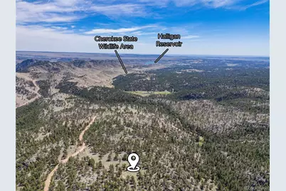 13118 County Road 67J, Livermore, CO 80536 - Photo 25