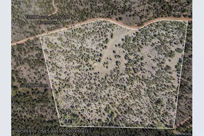 13118 County Road 67J, Livermore, CO 80536 - Photo 23