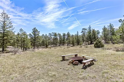 13118 County Road 67J, Livermore, CO 80536 - Photo 5