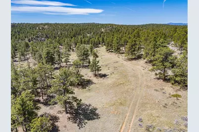 13118 County Road 67J, Livermore, CO 80536 - Photo 21
