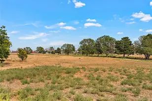 3790 Elm St, Denver, CO 80207 - Photo 41