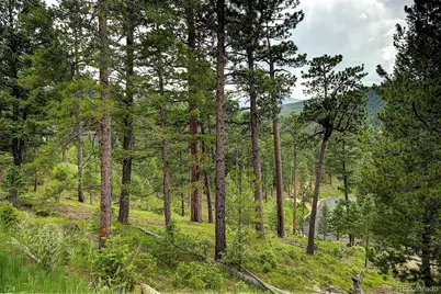 6875 Lynx Lair Road, Evergreen, CO 80439 - Photo 1