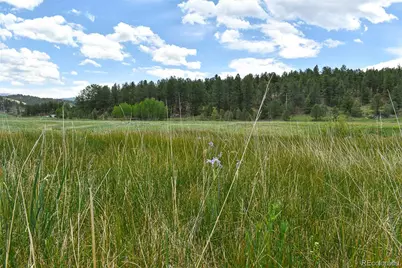 729 Valley Drive, Guffey, CO 80820 - Photo 13