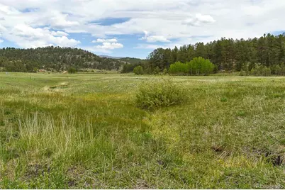 729 Valley Drive, Guffey, CO 80820 - Photo 7