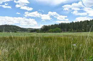 729 Valley Dr, Guffey, CO 80820 - Photo 1