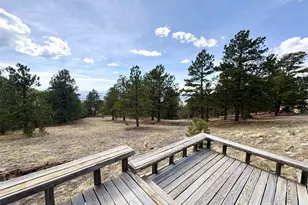 2121 Cr 1, Florissant, CO 80816 - Photo 21