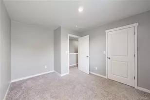 2122 Pineywoods St, Mead, CO 80542 - Photo 21