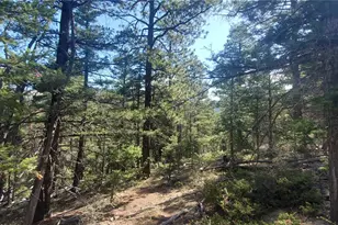 Lot 5273 Vivian Rd, Fort Garland, CO 81133 - Photo 1