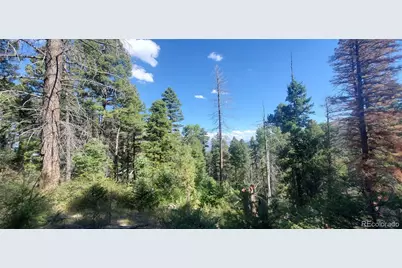 Lot 5273 Vivian Road, Fort Garland, CO 81133 - Photo 9