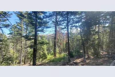 Lot 5273 Vivian Road, Fort Garland, CO 81133 - Photo 3
