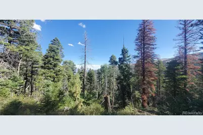 Lot 5273 Vivian Road, Fort Garland, CO 81133 - Photo 7