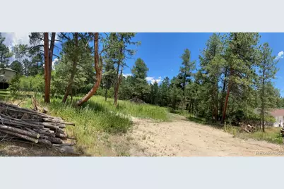 1025 Tenderfoot Drive, Larkspur, CO 80118 - Photo 3