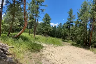 1025 Tenderfoot Dr, Larkspur, CO 80118 - Photo 3