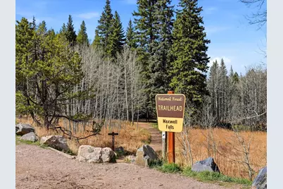 8829 Black Mountain Drive, Conifer, CO 80433 - Photo 47