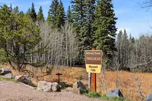 8829 Black Mountain Dr, Conifer, CO 80433 - Photo 47