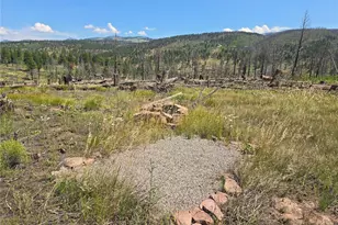 695 Cogbill Dr, Fort Garland, CO 81133 - Photo 1