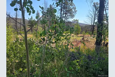 695 Cogbill Drive, Fort Garland, CO 81133 - Photo 9