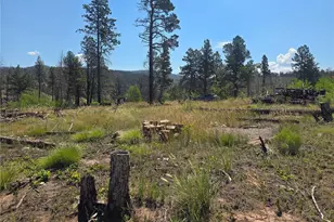 695 Cogbill Dr, Fort Garland, CO 81133 - Photo 1