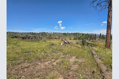 695 Cogbill Drive, Fort Garland, CO 81133 - Photo 5