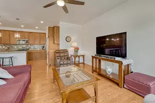 11791 Barrentine Loop, Parker, CO 80138 - Photo 23