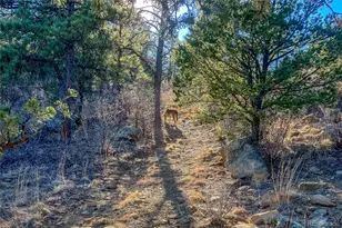 13240 Big Pine Ridge Rd, Weston, CO 81091 - Photo 35