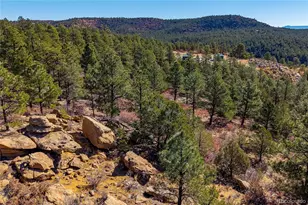 13240 Big Pine Ridge Rd, Weston, CO 81091 - Photo 49