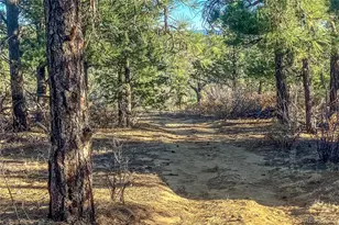 13240 Big Pine Ridge Rd, Weston, CO 81091 - Photo 33