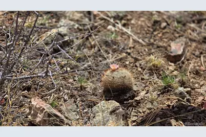 Lot 6070 Vreeland Road, San Luis, CO 81152 - Photo 21