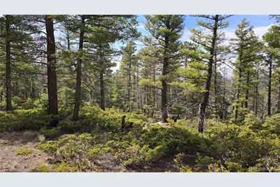 Lot 6070 Vreeland Road, San Luis, CO 81152 - Photo 11