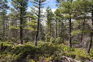 Lot 6070 Vreeland Rd, San Luis, CO 81152 - Photo 1