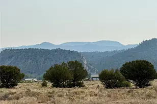 10795 Co Rd 197A, Nathrop, CO 81236 - Photo 3