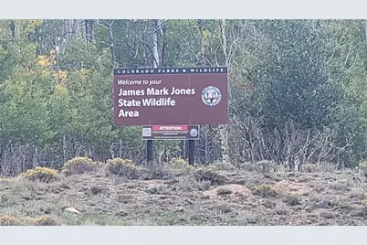 1194 Yellowstone Road, Hartsel, CO 80449 - Photo 15