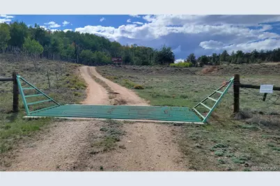 1194 Yellowstone Road, Hartsel, CO 80449 - Photo 11