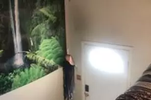 1297 Hathaway Dr, Colorado Springs, CO 80915 - Photo 5