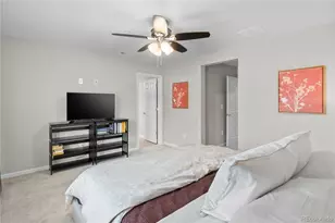 16359 Askins Loop, Parker, CO 80134 - Photo 29