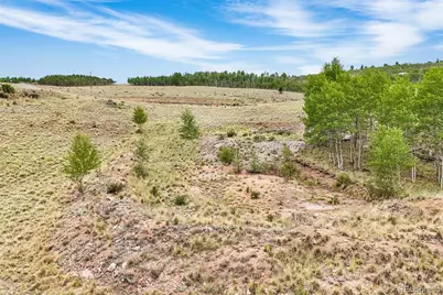 00 Hornbill, Jefferson, CO 80456 - Photo 13