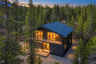 361 Birch Dr, Twin Lakes, CO 81251 - Photo 1