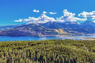 361 Birch Dr, Twin Lakes, CO 81251 - Photo 7