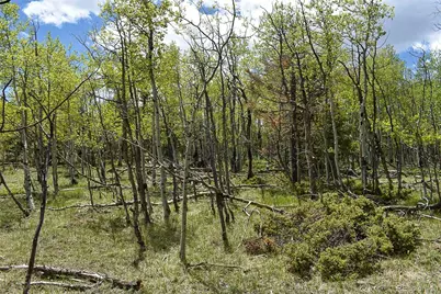 55 Aspen Way Drive, Guffey, CO 80820 - Photo 23