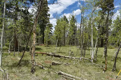 55 Aspen Way Drive, Guffey, CO 80820 - Photo 21