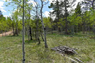 55 Aspen Way Drive, Guffey, CO 80820 - Photo 17