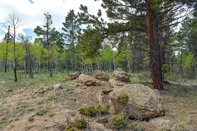 55 Aspen Way Drive, Guffey, CO 80820 - Photo 15