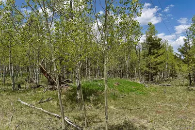 55 Aspen Way Drive, Guffey, CO 80820 - Photo 7