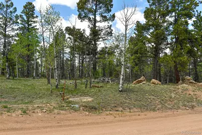 55 Aspen Way Drive, Guffey, CO 80820 - Photo 11