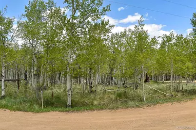 55 Aspen Way Drive, Guffey, CO 80820 - Photo 5