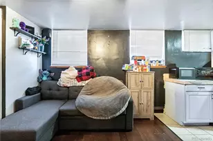 478 N Logan St, Denver, CO 80203 - Photo 37