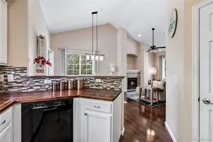 6825 S Webster St, Littleton, CO 80128 - Photo 13
