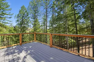 100 Elk Valley Way, Evergreen, CO 80439 - Photo 29